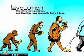 Image result for Question. Answer Evolution Meme