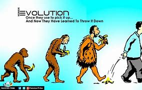 Image result for Question. Answer Evolution Meme