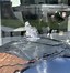 Image result for Large Solar Water Features UK