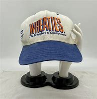 Image result for Dale Earnhardt Wheaties Hat