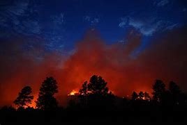 Image result for Night of Fire
