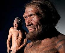 Image result for Homo Sapiens vs Sapiens Sapiens