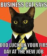 Image result for Good Luck New Job Meme