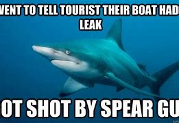 Image result for Be a Shark Meme