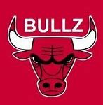 Image result for Bullz Logo
