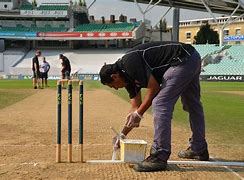 Image result for What Is a Sticky Wicket