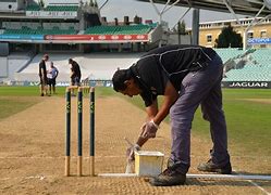 Image result for Sticky Wicket Cricket Game
