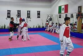 Image result for Elliyas Martial Arts Taekwondo