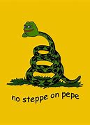 Image result for No Steppe On Pepe
