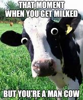 Image result for Minecraft Cow Hating Meme