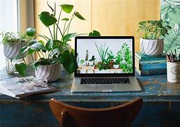 Image result for Desk Plants for Work