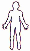 Image result for Human Body Diagram Outline