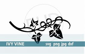 Image result for Ivy Vine Designs
