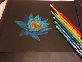 Image result for Colored Pencil On Black Paper