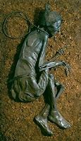 Image result for Peat Moss Mummies