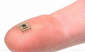 Image result for Implanted Microchips