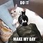 Image result for Anxious Cat Meme