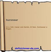 Image result for huronear