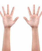 Image result for Left Hand and Right Hand Pictures