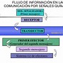 Image result for Comunicación Celular