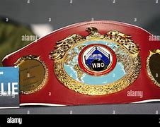 Image result for WBO Heavyweight Belt