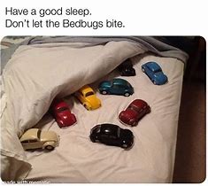 Image result for Bed Bug MEME Funny