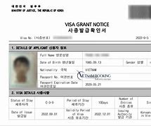 Image result for Visa Hàn