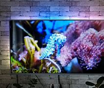Image result for Philips Ambilight TV 55Pus6804