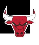 Image result for Chicago Bulls City