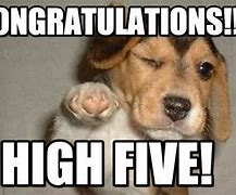 Image result for Congratulations Happy for You Meme