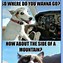 Image result for Funny Sarcastic Cats