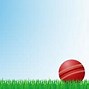 Image result for Cricket Flex Background
