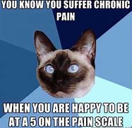 Image result for Life Is Nothing but Pain Meme