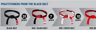 Image result for Brazilian Jiu Jitsu Belt System