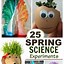 Image result for Spring Science Activities