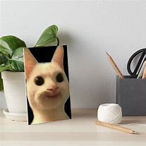 Image result for Cat Meme Art