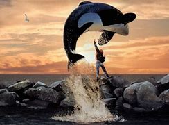 Image result for Hunting White Whale Meme