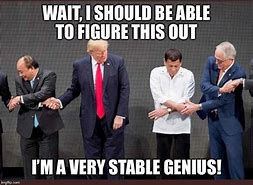 Image result for Stable Genius Meme