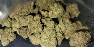 Image result for Za Weed