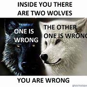 Image result for 2 Wolves Meme