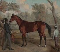 Image result for Richard McCourt Thoroughbred Racing