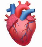 Image result for Anatomical Heart Emoji Apple