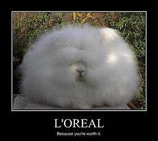 Image result for L'Oreal Because You're Worth It Meme