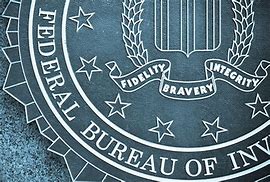 Image result for United States FBI Logo