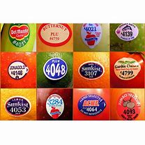 Image result for Apple Fruit Product Sticker