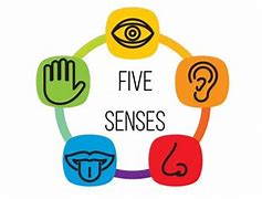 Image result for Five Senses Clip Art Free