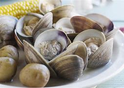 Image result for Clam Make