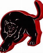 Image result for Panther 5 a Color