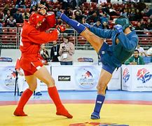 Image result for Sambo Martial Art