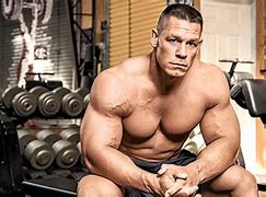 Image result for John Cena Triceps